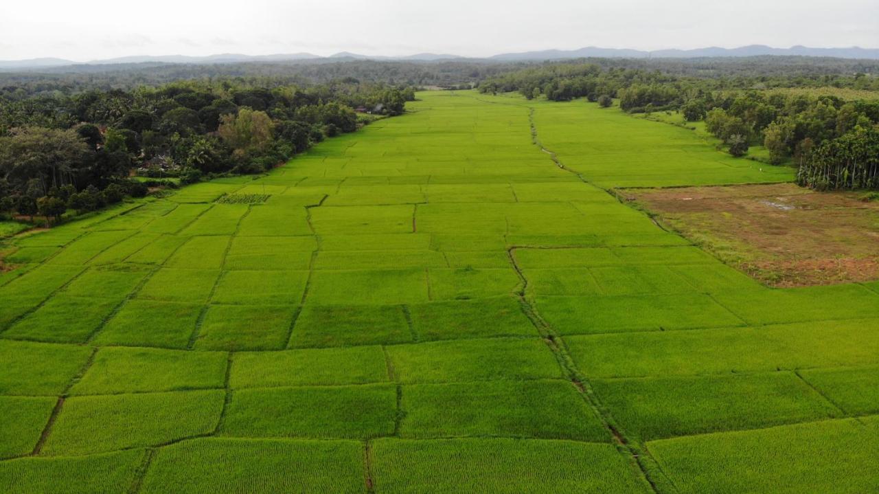 Ibbani Homestay, Siddapur Exteriör bild