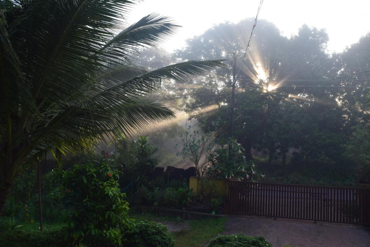 Ibbani Homestay, Siddapur Exteriör bild