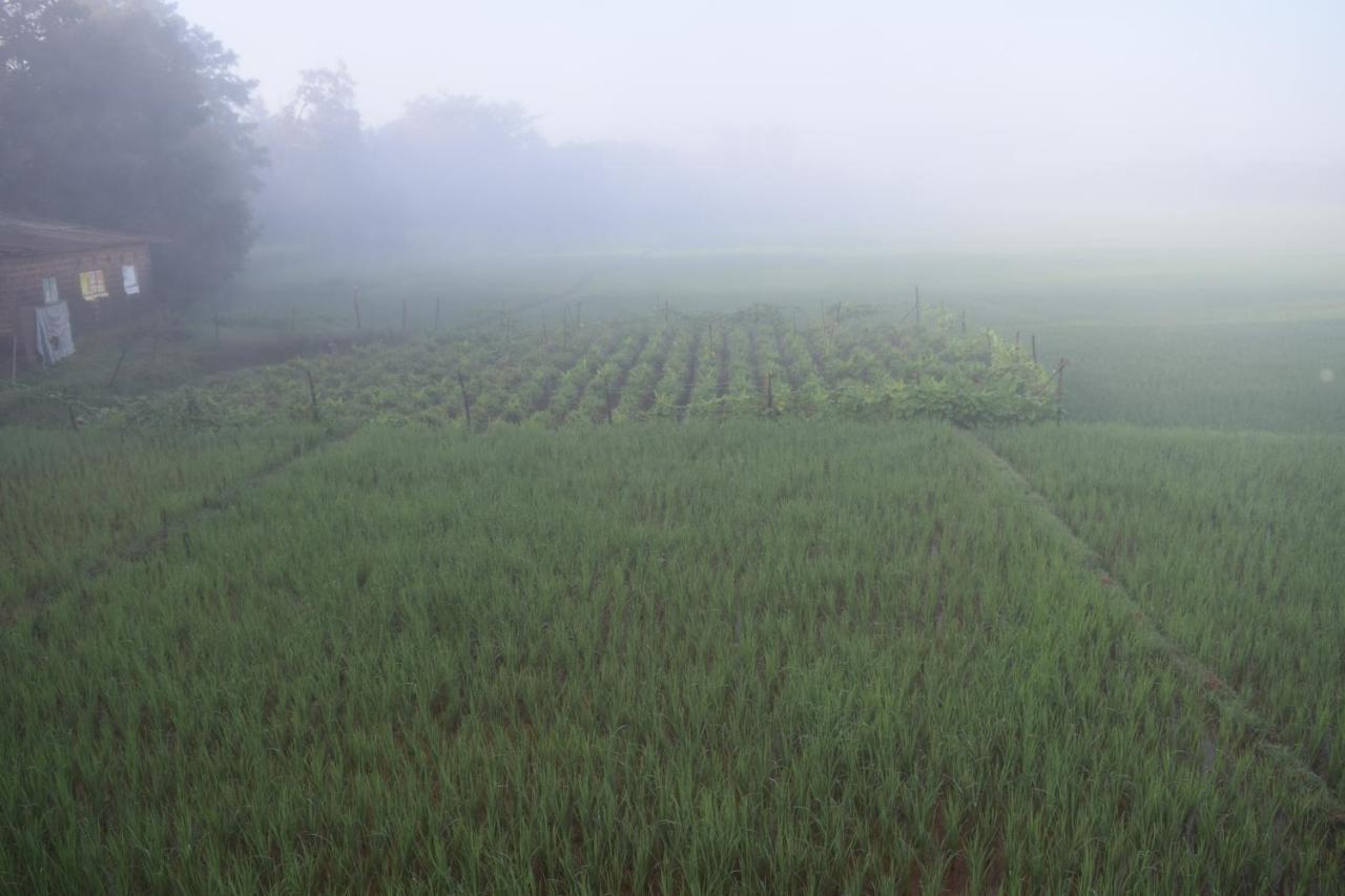 Ibbani Homestay, Siddapur Exteriör bild