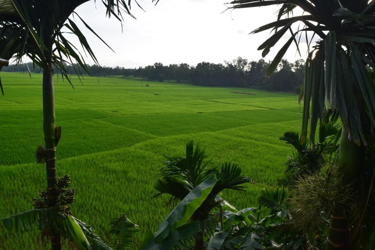 Ibbani Homestay, Siddapur Exteriör bild